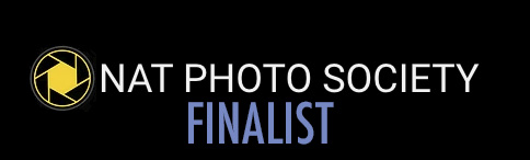 Nat Photo Society — Finalist