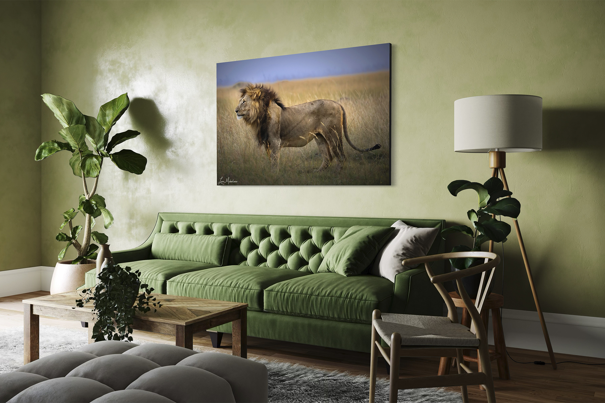 Masai Mara Lion Acrylic