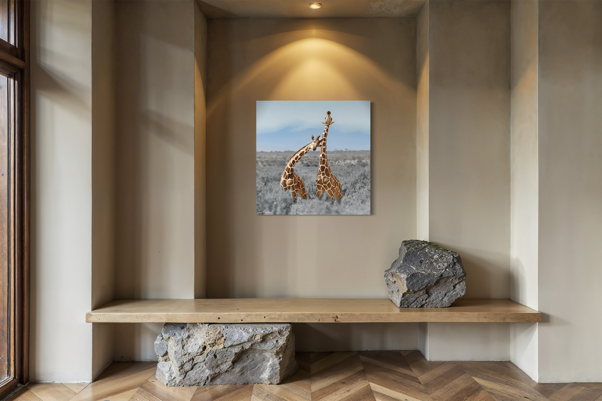 Samburu Giraffes Acrylic