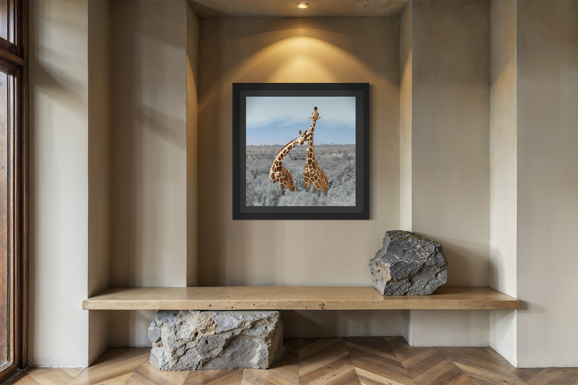 Samburu Giraffes Black