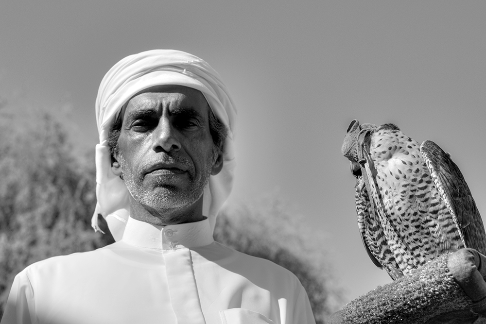 Man And Falcon