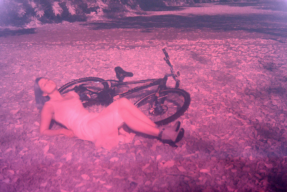Fine art photograph from the collection