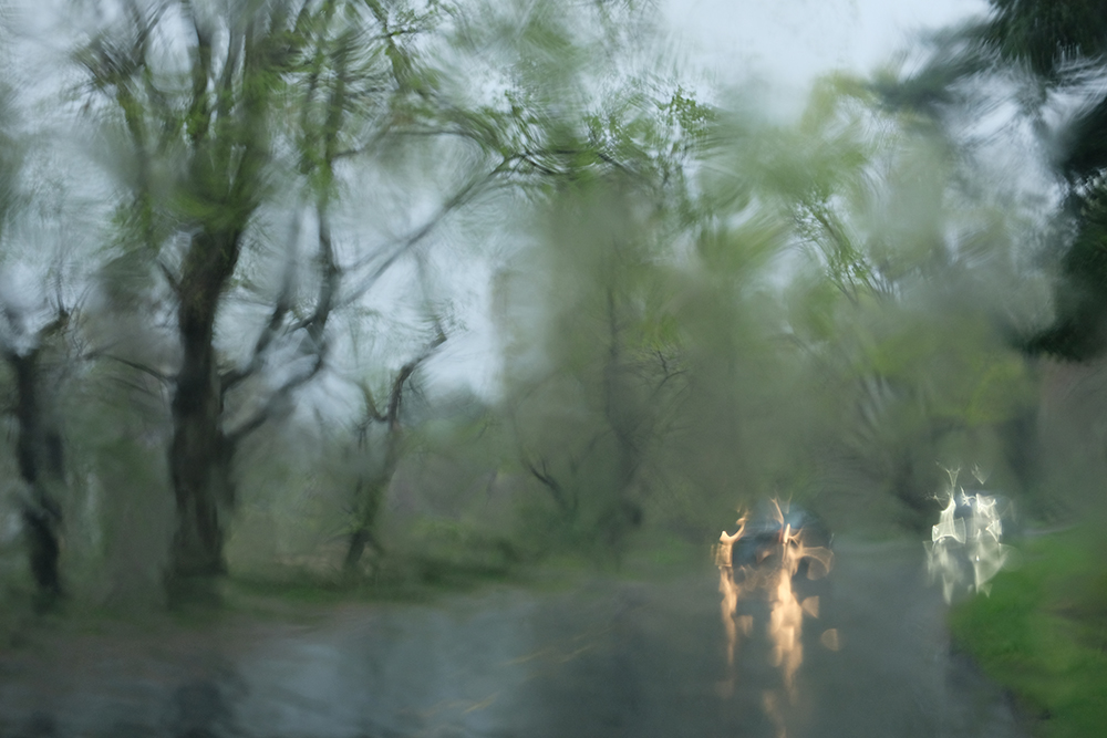 In The Rain 1