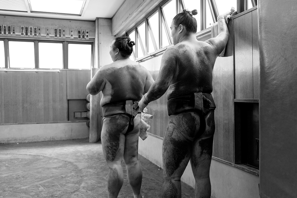 Sumo Wrestlers